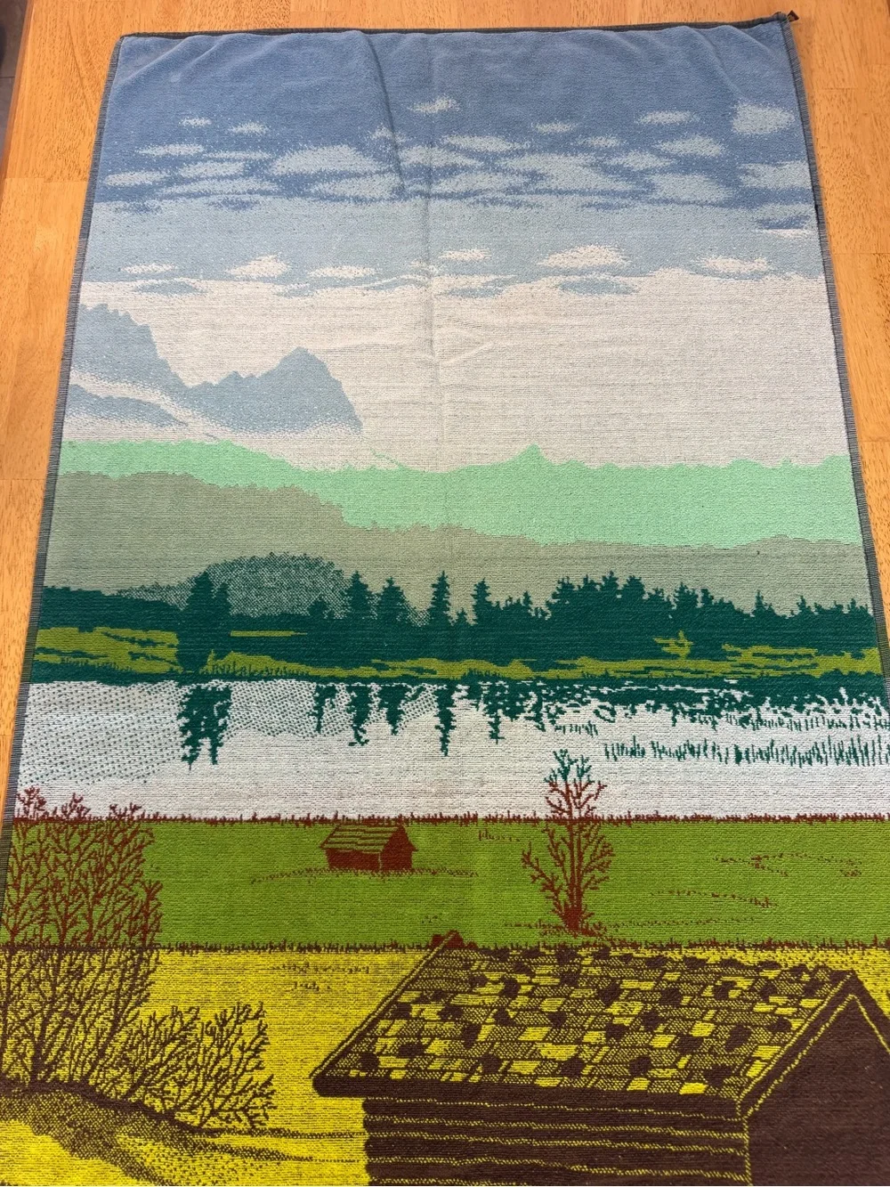 Seahorse de Luxe Vintage Cotton Beach Towel Holland Winterswijk Scenic 52x28